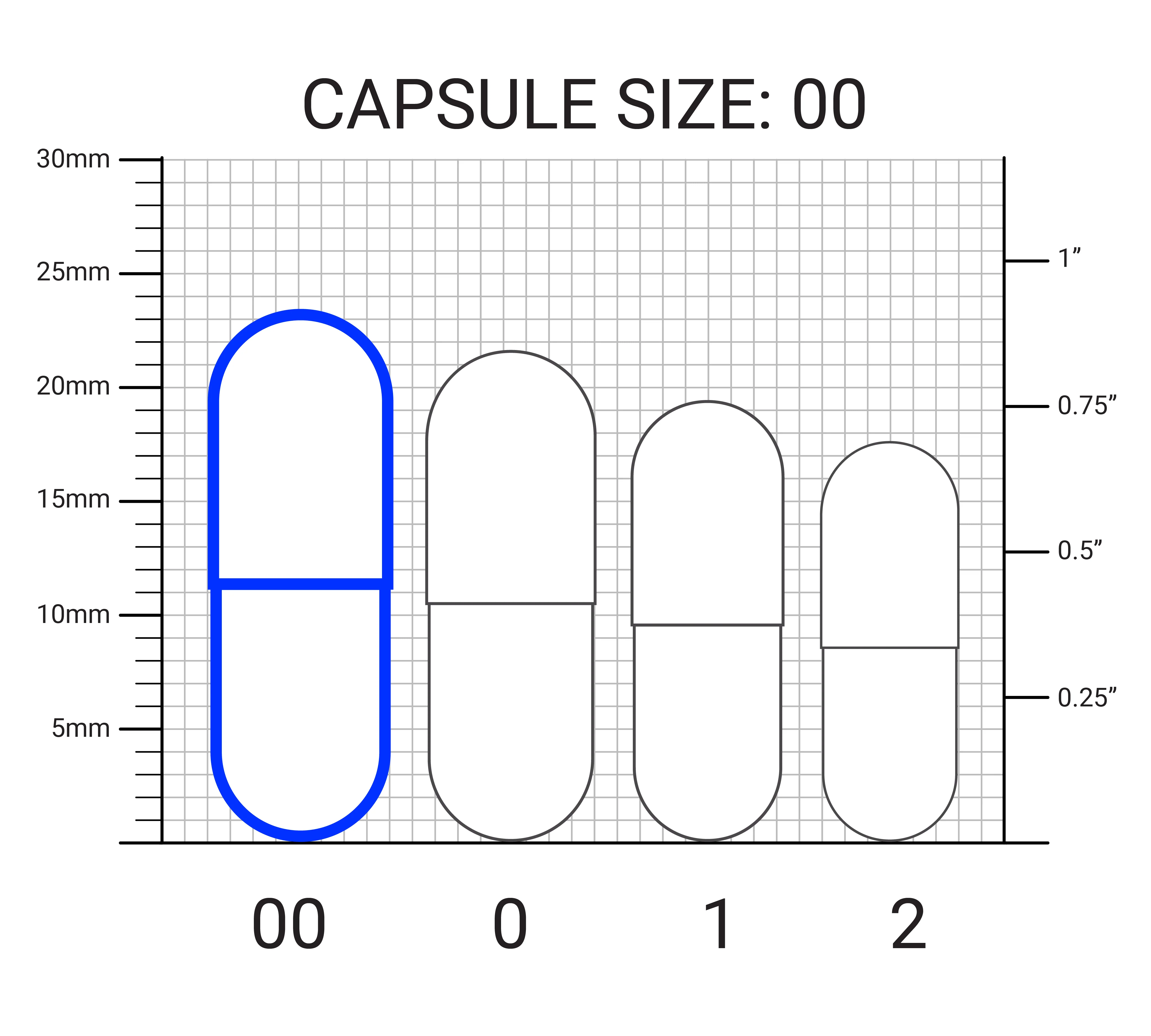 Dr. Berg Probiotics with Prebiotic Blend - Image 5